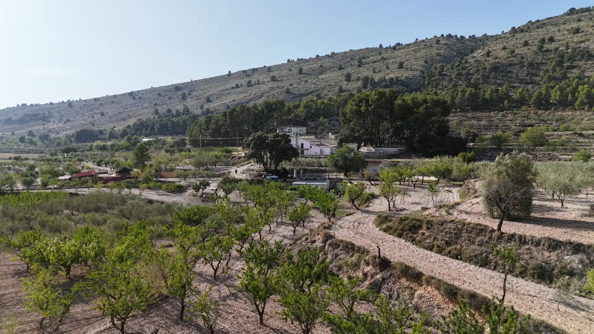 Finca rústica en venda en Ibi