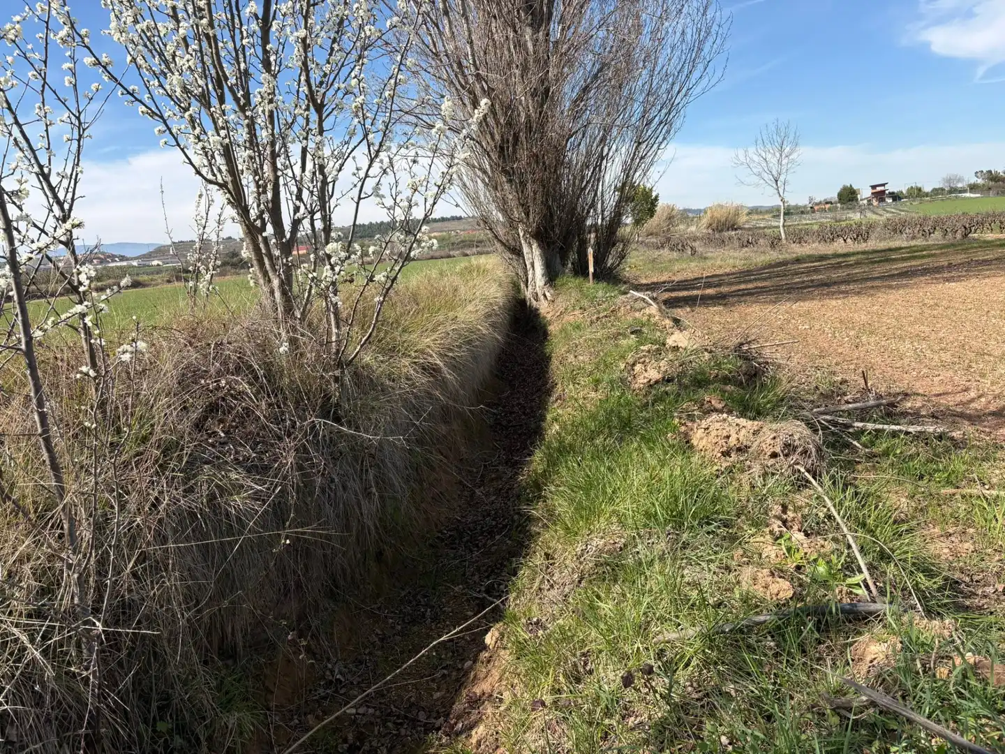 Rural land for sale in Villamediana de Iregua, imagen 7