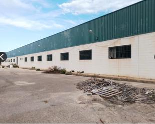 Exterior view of Industrial buildings for sale in Mogente / Moixent