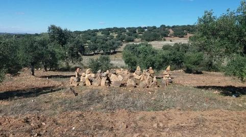 “Oportunidad” Finca de Olivar y trozo de tierra de labor situada en la aldea de Ojuelos Bajos - Municipio de Fuente Obejuna con un
