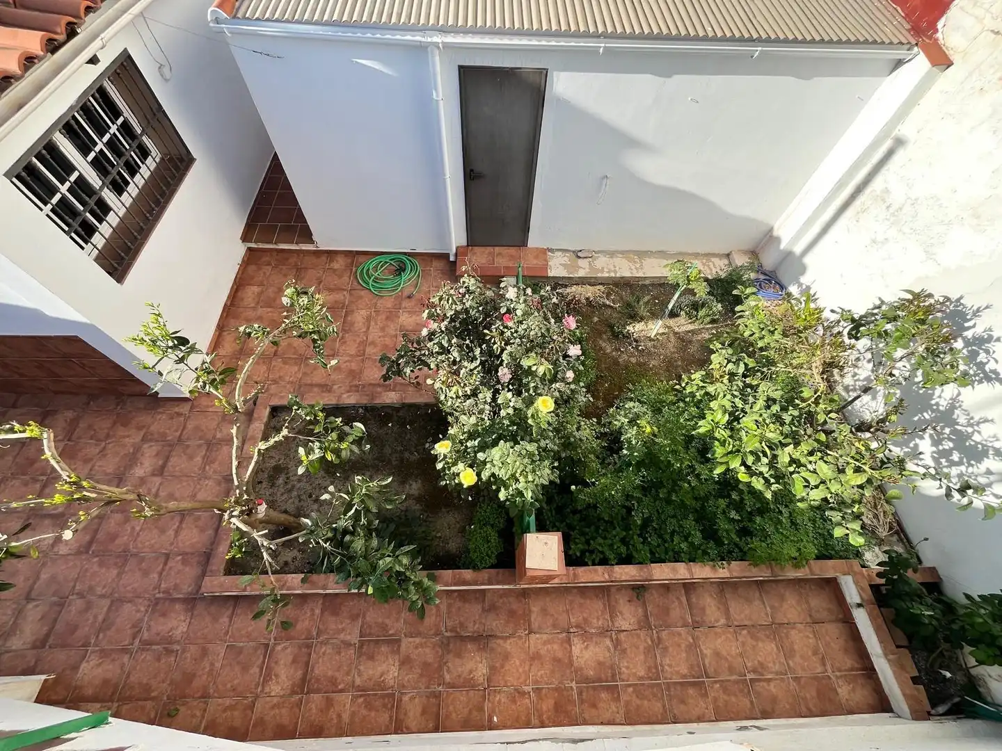 Garden of Detached homes for sale in Málaga  with Private garden, Terrace and Storage room