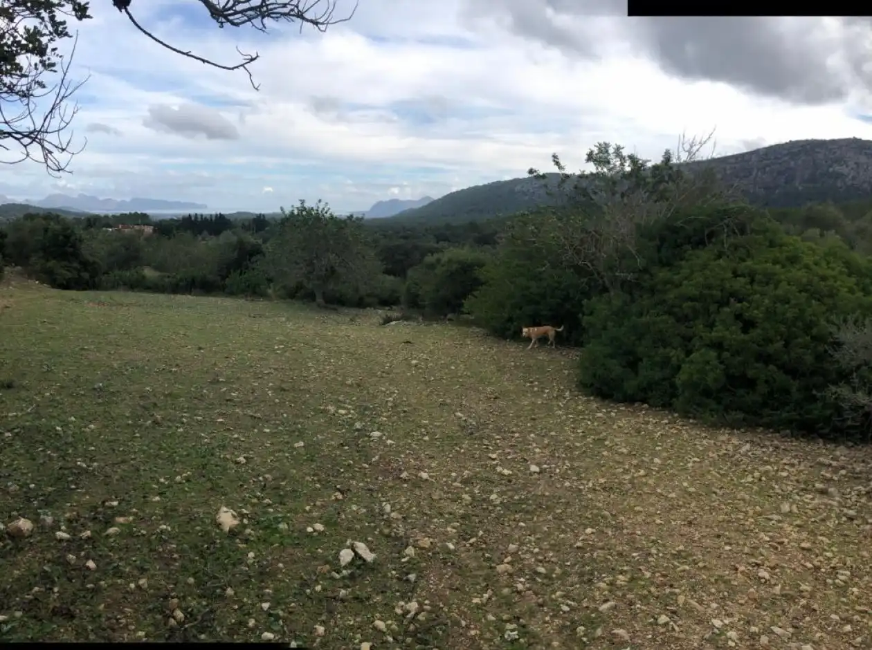 Casa o chalet en venta en Pollença