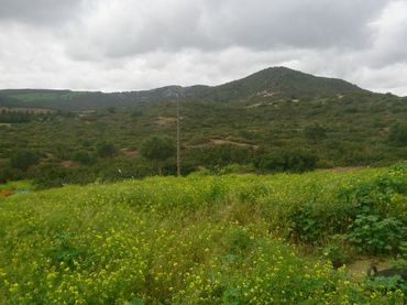 Terreno rustico in vendita a Carretera de Medina