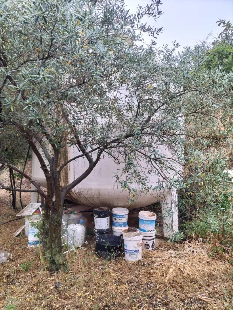 Jardín de Finca rústica en venta en Málaga