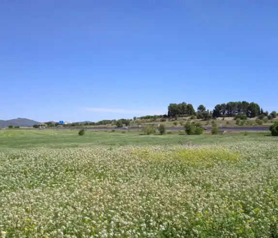 Terreno rustico in vendita a Agullent, imagen 4