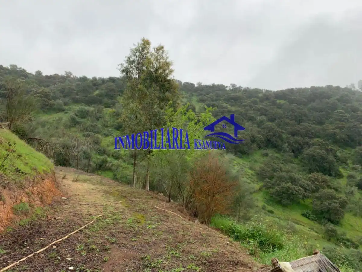 Casa rústica en venda a Periurbano Este - Campiña, imagen 18