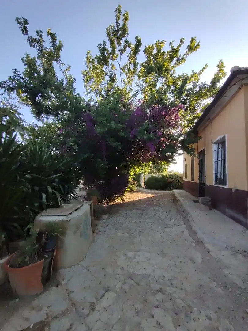 Vista exterior de Casa o chalet en venta en Almoradí con Aire acondicionado y Alarma