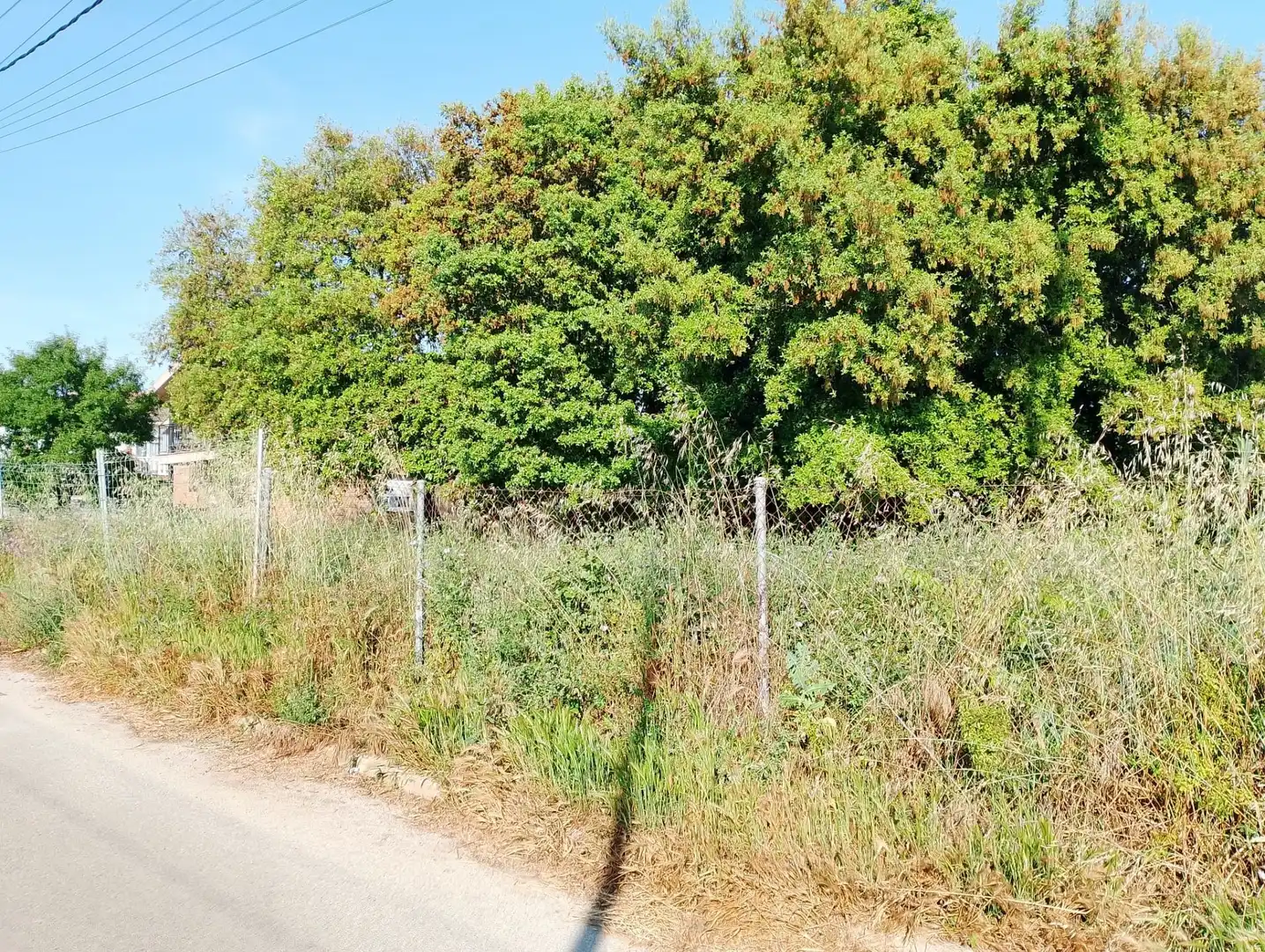 Lands and plots for sale in Can Massuet del Far, imagen 3