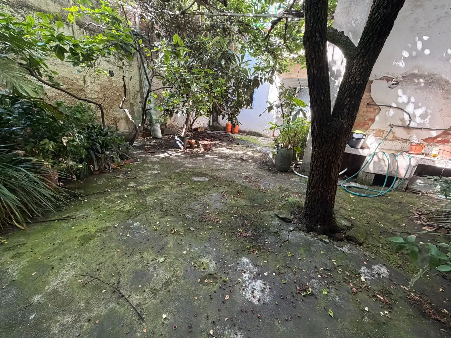 Jardín de Casa o chalet en venta en Gandia con Jardín privado