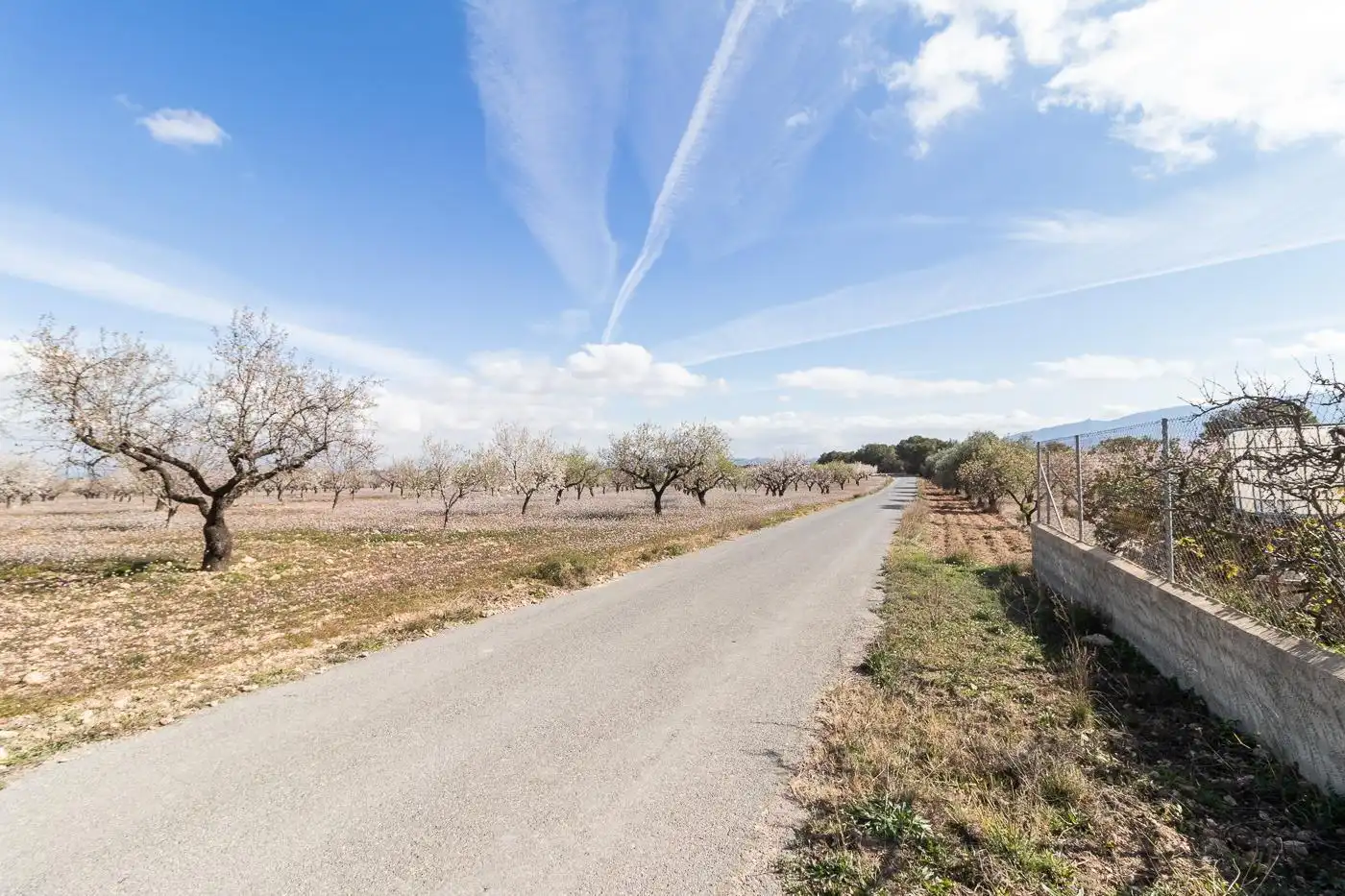 Casa o xalet en venda en Mula amb Terrassa