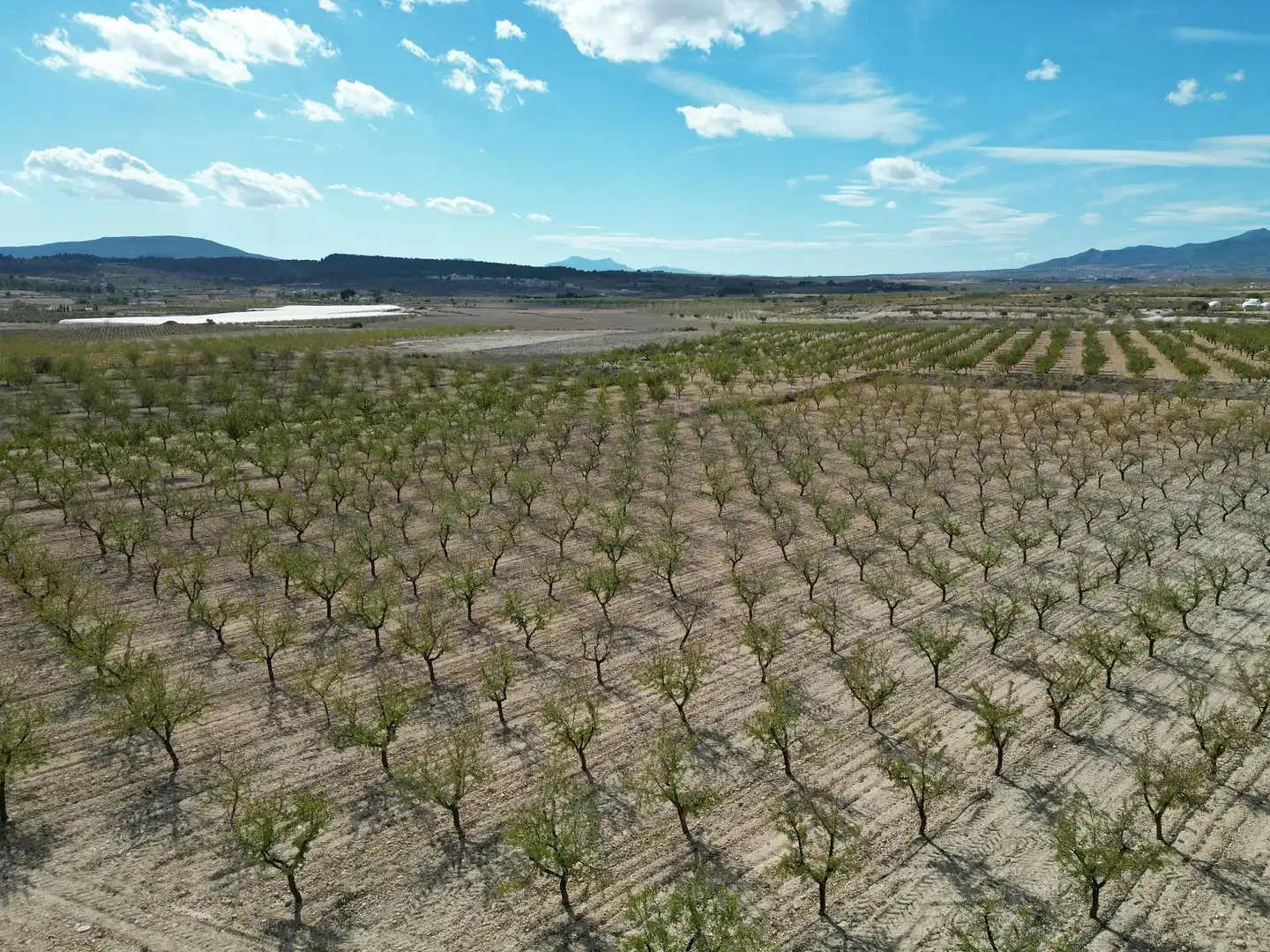 Wohnbaugrundstück zum Verkauf in El Pinós / Pinoso, imagen 10
