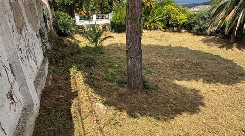 Parcela , en centro Blanes, imagen 3