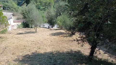 FANTÁSTICO TERRENO DE 590m2 EN LA PRIVILEGIADA ZONA DE CAN MIR, imatge 4