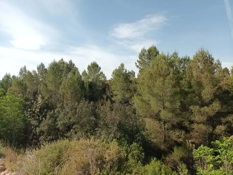 Land for sale in Ontinyent