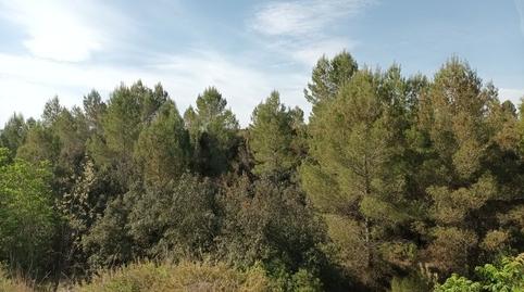 Foto 2 de Terreno en venta en Les Alqueries 7, 6, Santa Ana, Valencia