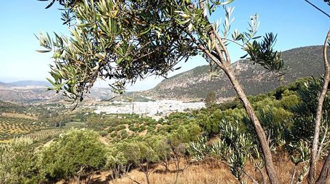 Finca Rúst. en venta en Dehesa Vieja., immagine 2
