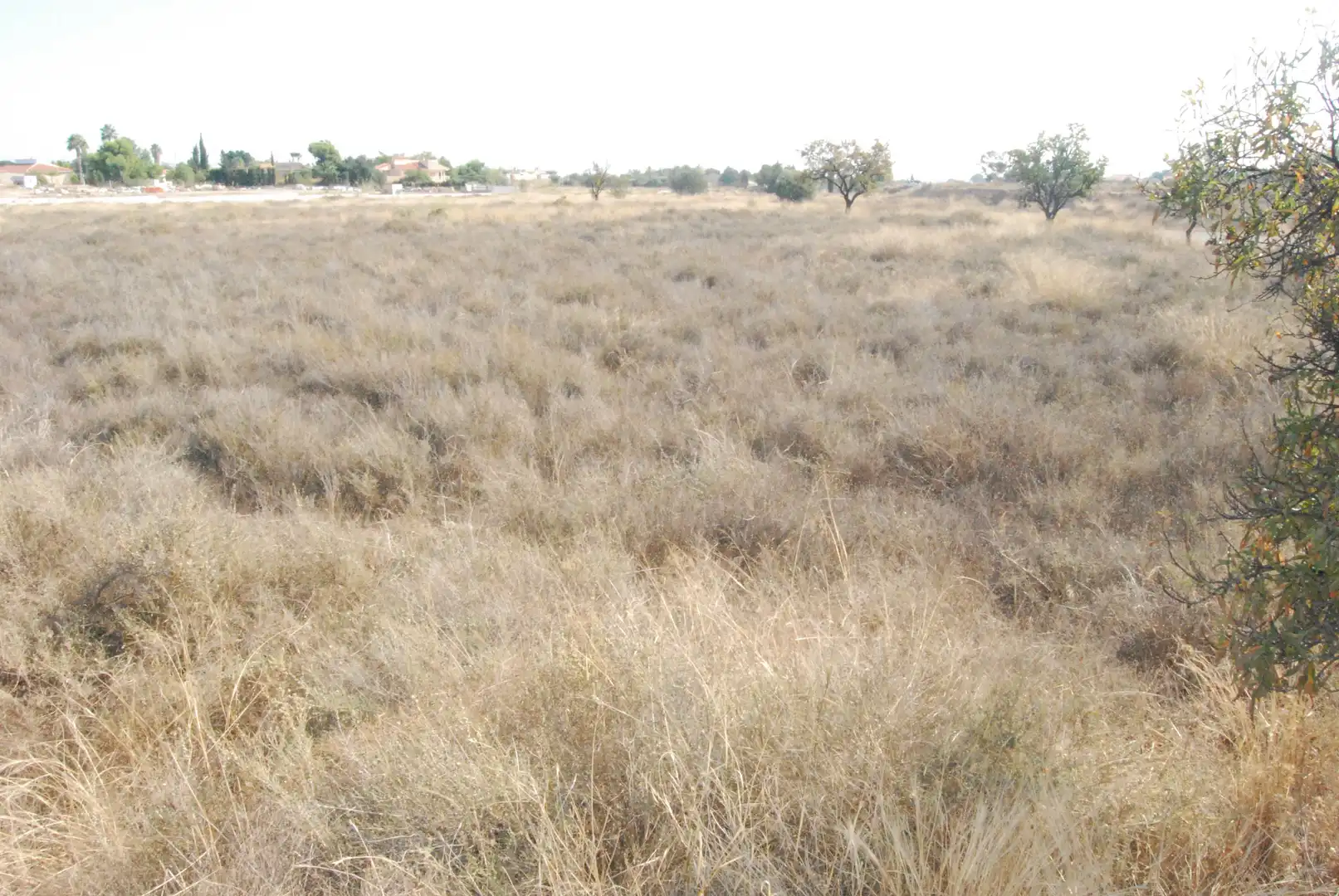 Rural land for sale in Villamontes - Boqueres, imagen 5