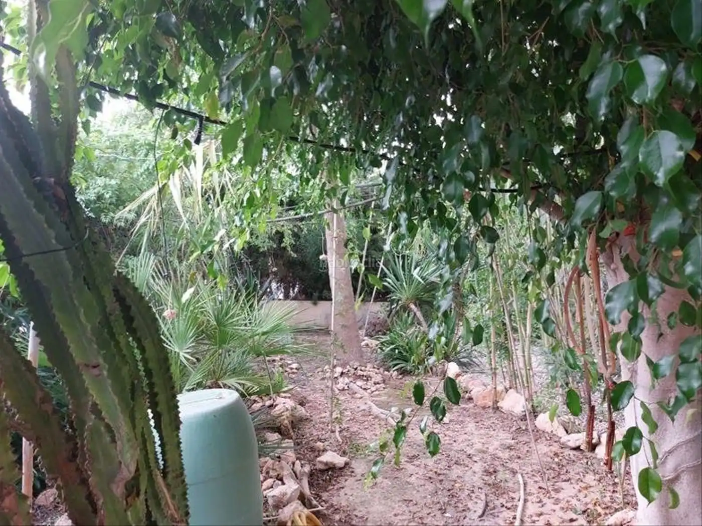 Villa avec jardin à vendre à Avenida de las Brisas 12, imagen 10
