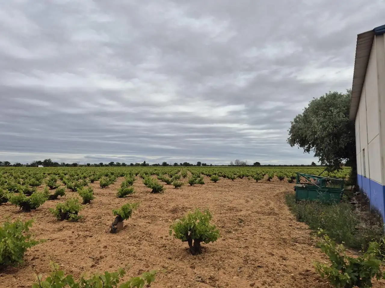 Terreny rústic en venda a Casa Masca - Puente Romano, imagen 19