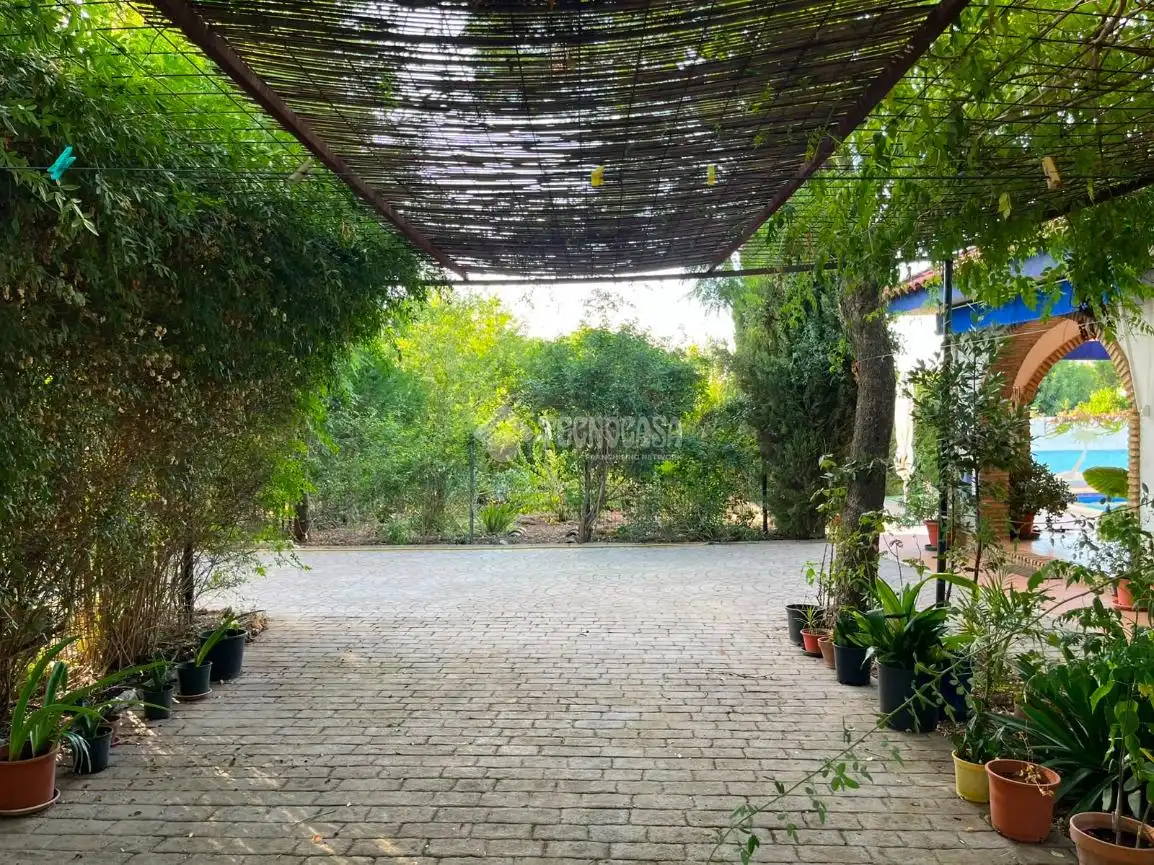 Jardín de Finca rústica en venta en Carmona