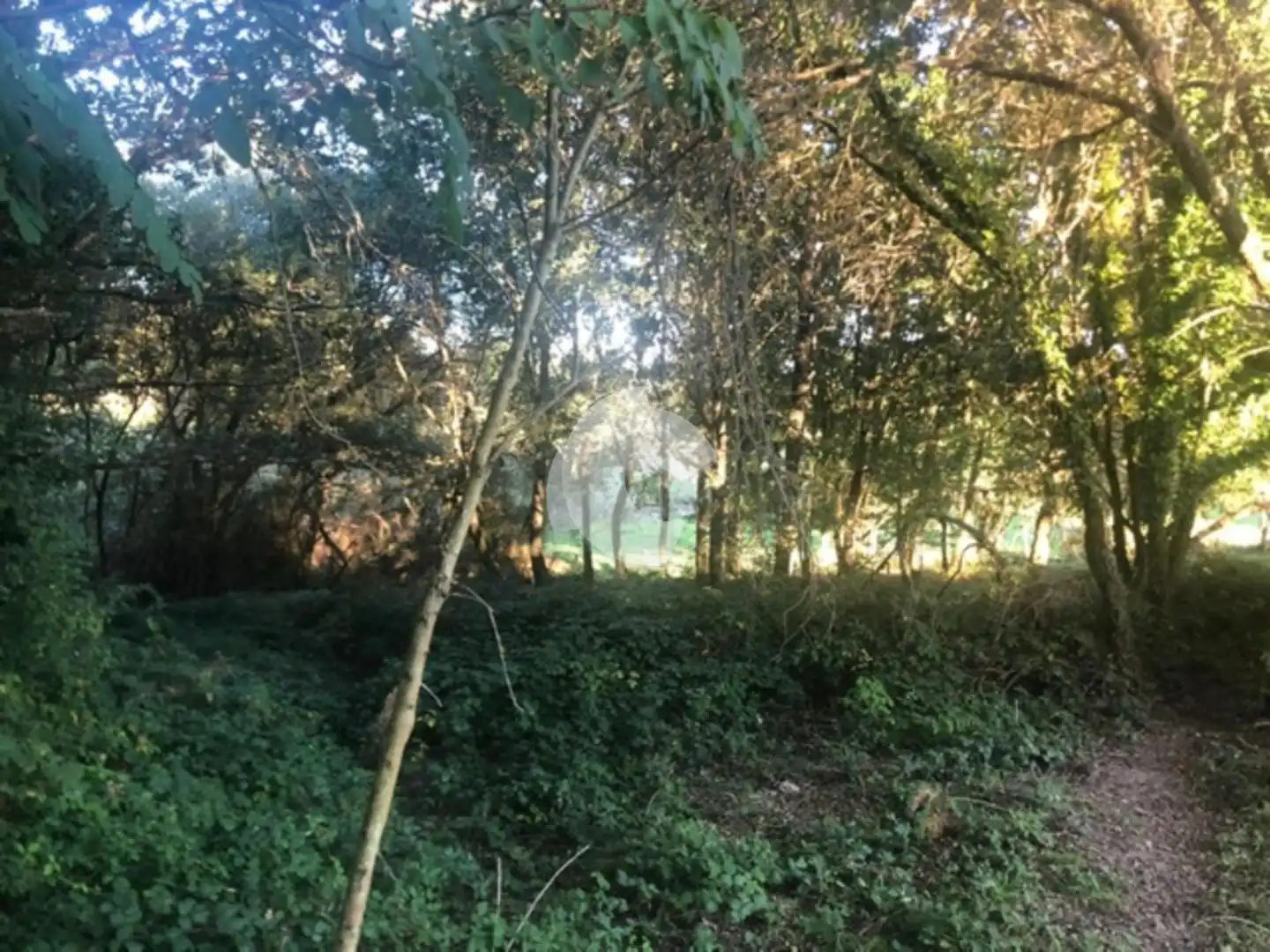 Terreni e lotti in vendita a Nogueira de Ramuín, imagen 46