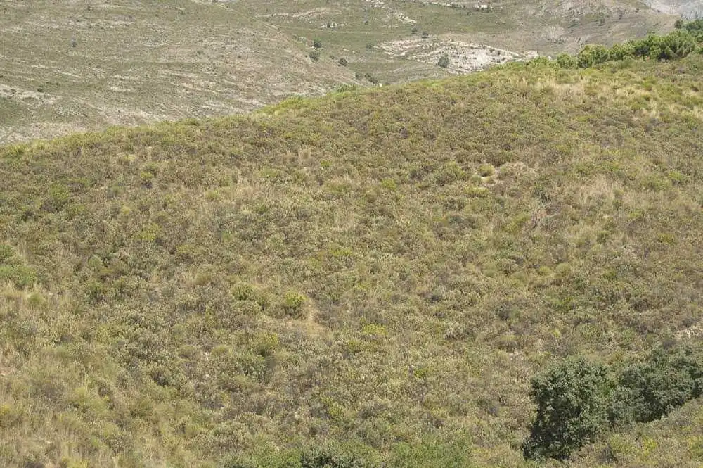 Terreno rústico en venta en Sedella, imagen 2