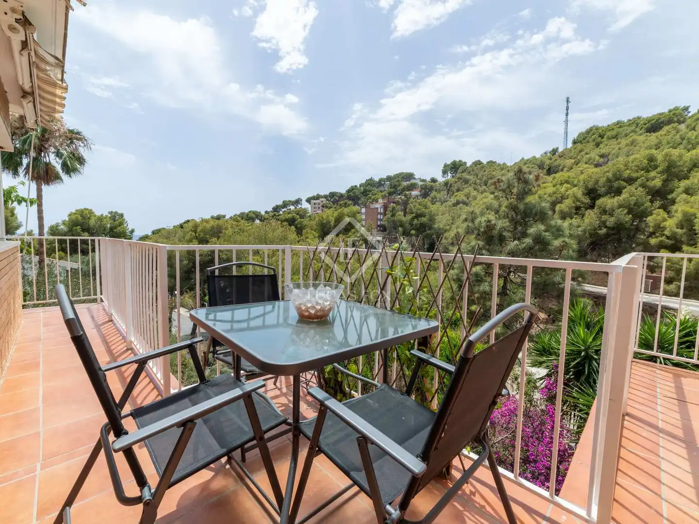 Houses for sale in Bellamar