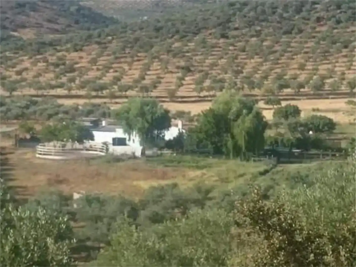 Casa o xalet en venda en Guadalcanal amb Jardí privat i Piscina