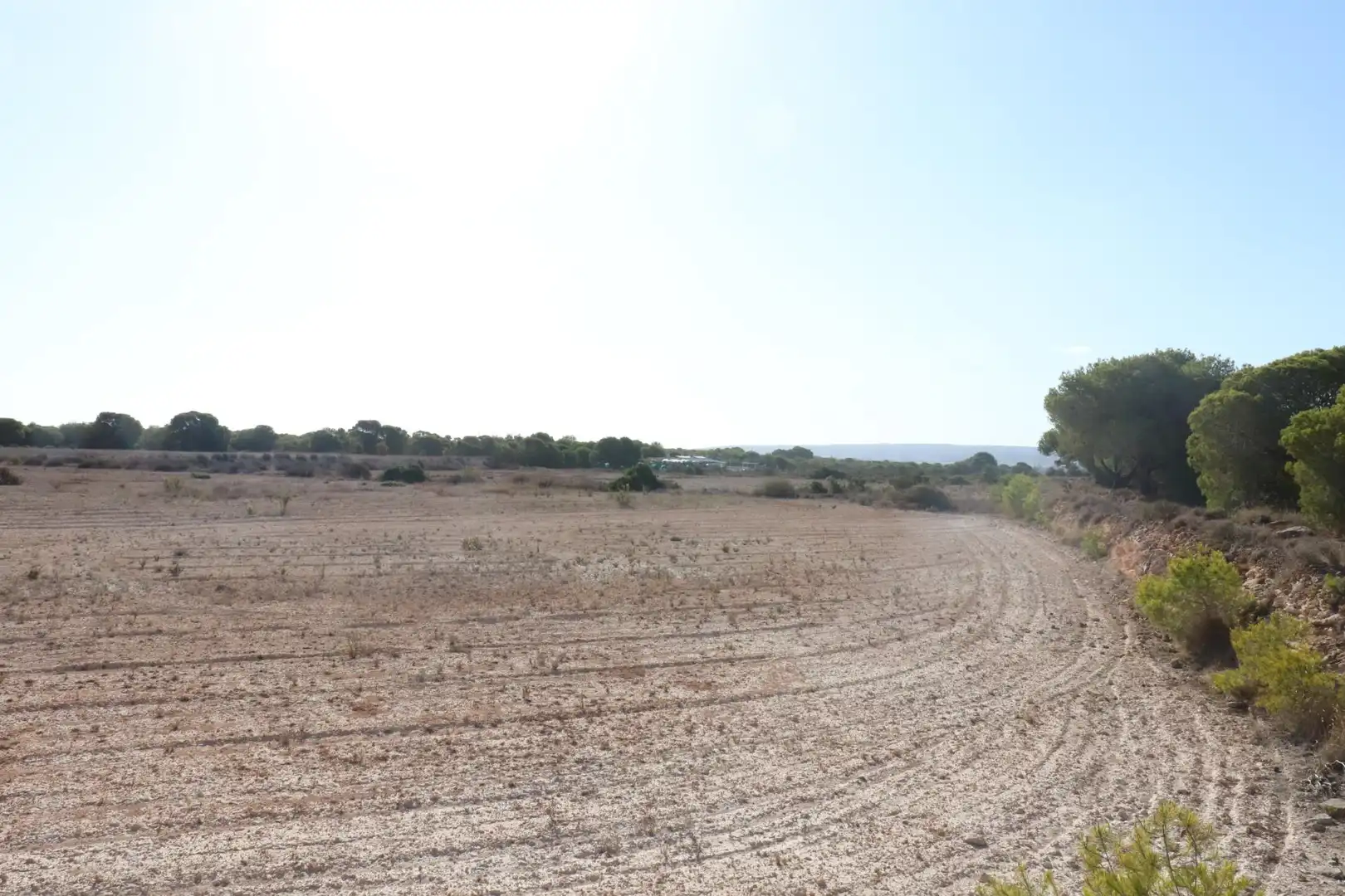 Terrain rustique à vendre à Valverde, imagen 4