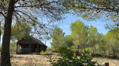 Foto 5 de Finca rústica en venta en Chella, Valencia