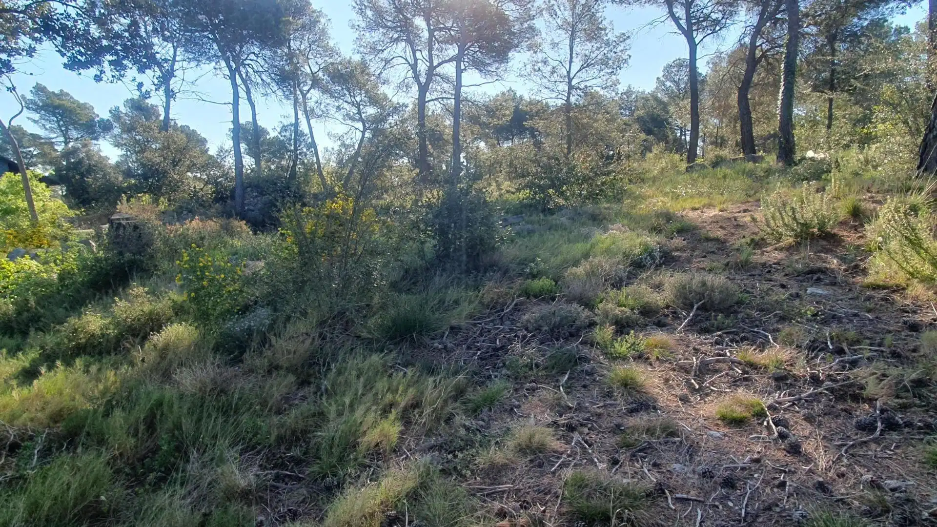 Terreny residencial en venda a Carrer MONTSERRAT (FONT DEL BOSC 122, imagen 5