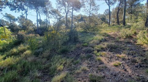 Foto 5 de Residencial en venta en Carrer Montserrat (font del Bosc, 122, Mediona, Barcelona