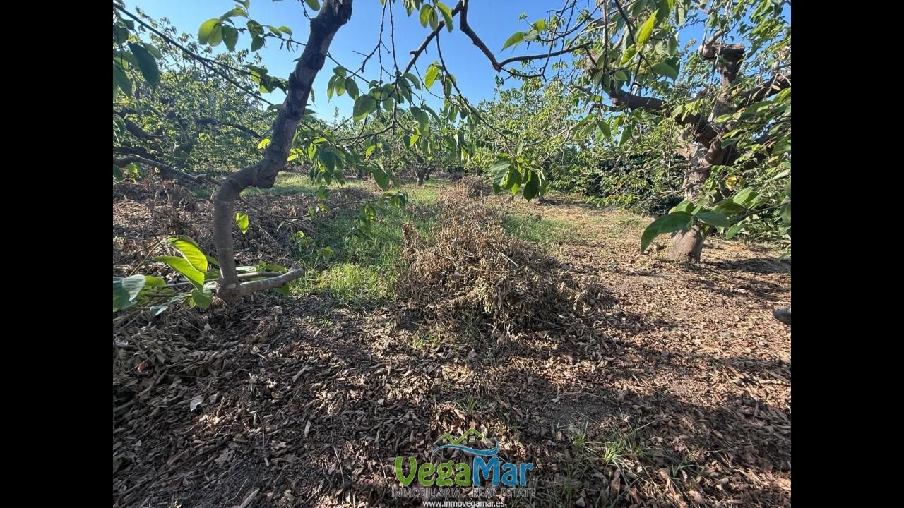 Residential for sale in Almuñécar