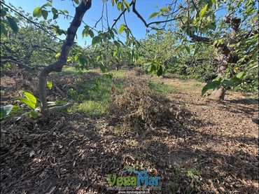 Terrenys i solars en venda a Itrabo