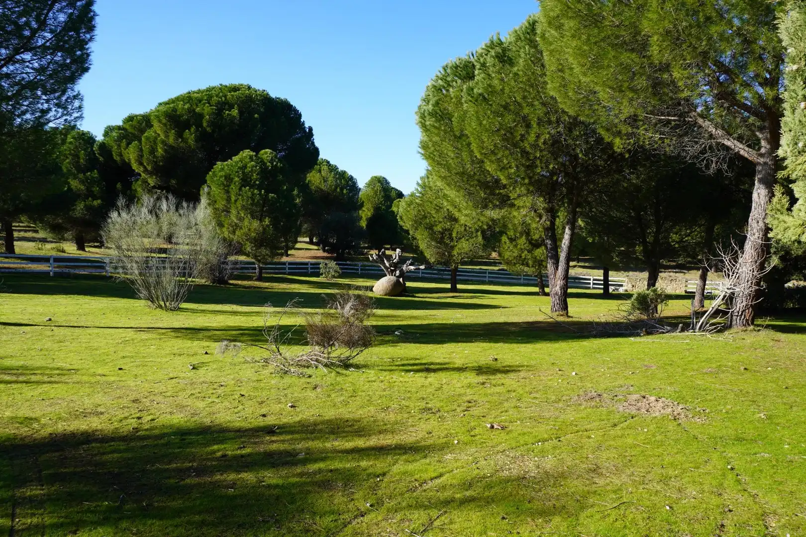 Chalet con piscina en venta en San Martín de Valdeiglesias, imagen 18