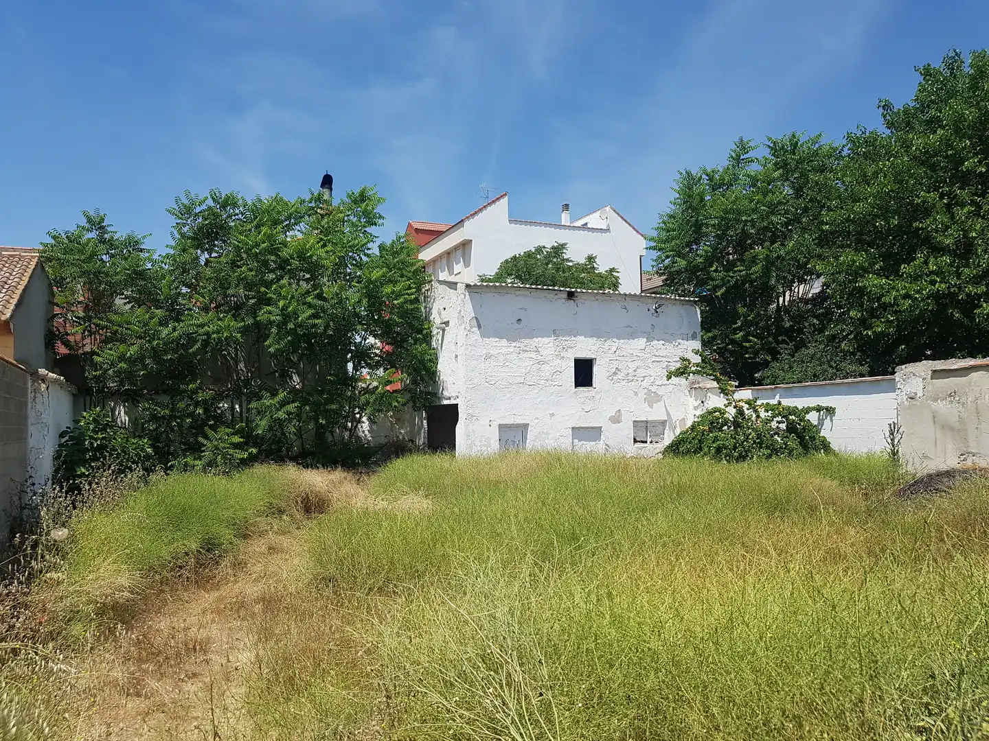 Lands and plots for sale in Corral de Almaguer, imagen 5