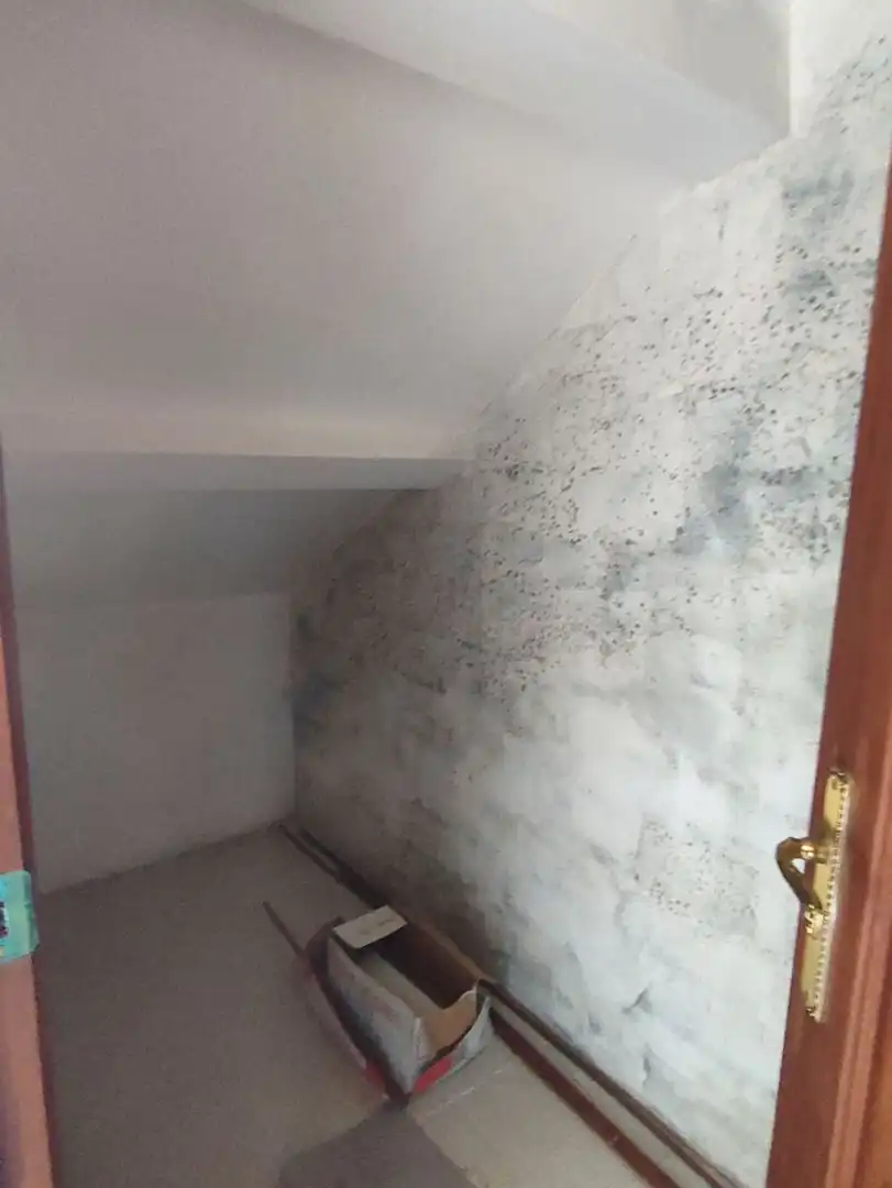 Villa avec jardin à vendre à Tarrio, imagen 23