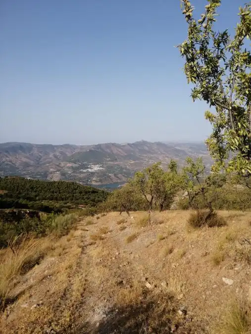 Terreni e lotti in vendita a Lecrín, imagen 26