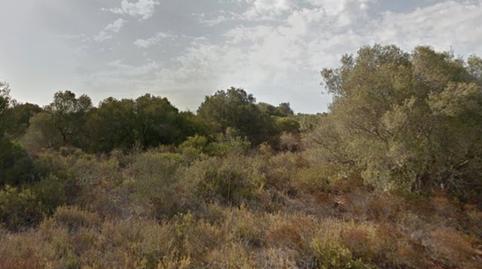 Photo 4 of Residential for sale in Carrer Son Gual Ii-c, 3, Son Gual,  Palma de Mallorca