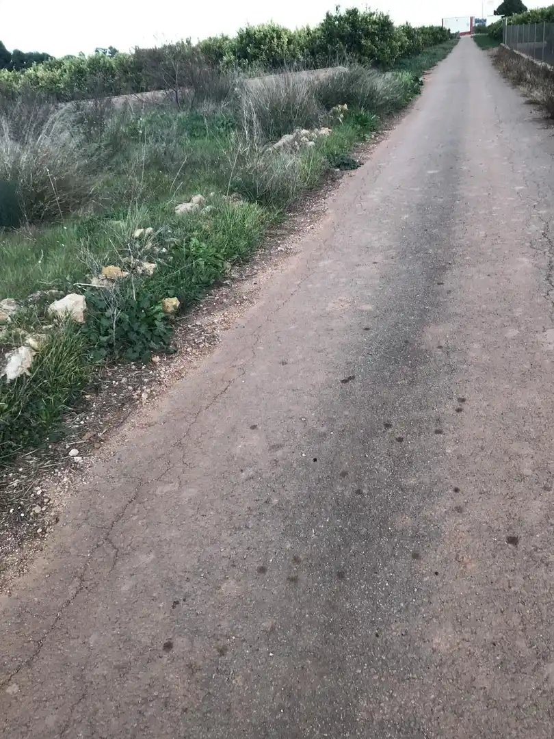 Lands and plots for sale in Corralet - Bonanza - Tres Rutas, imagen 9