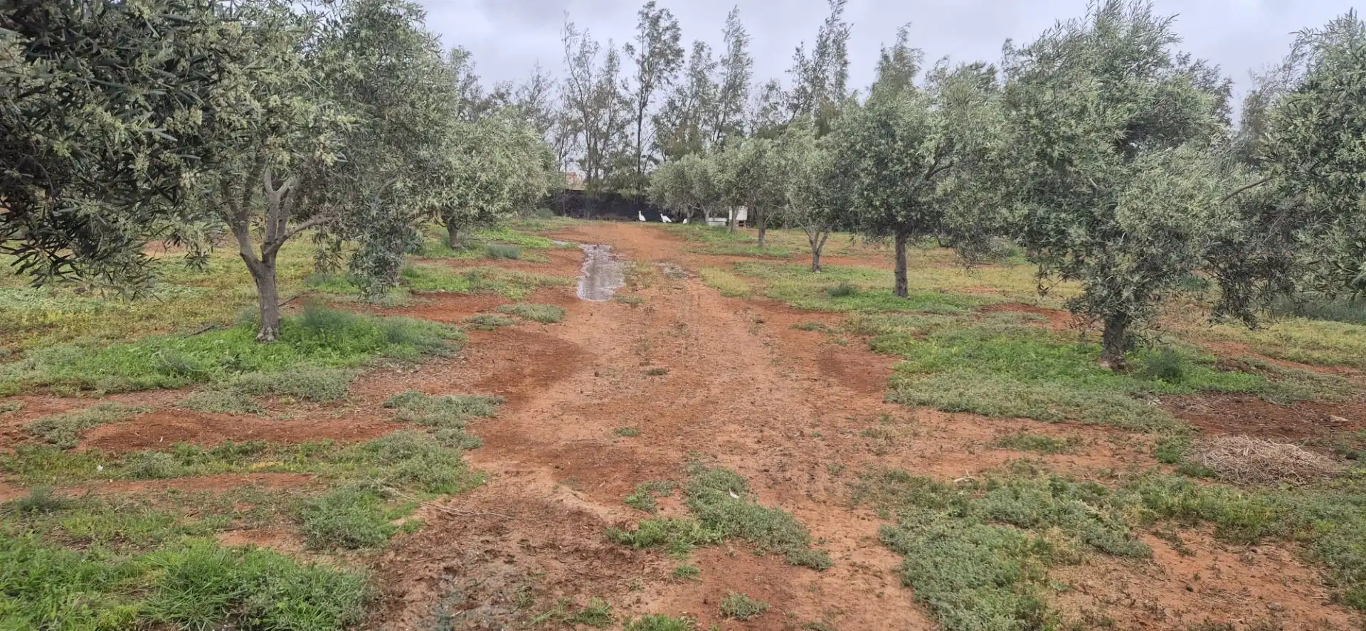 Terreno en venta en Antigua