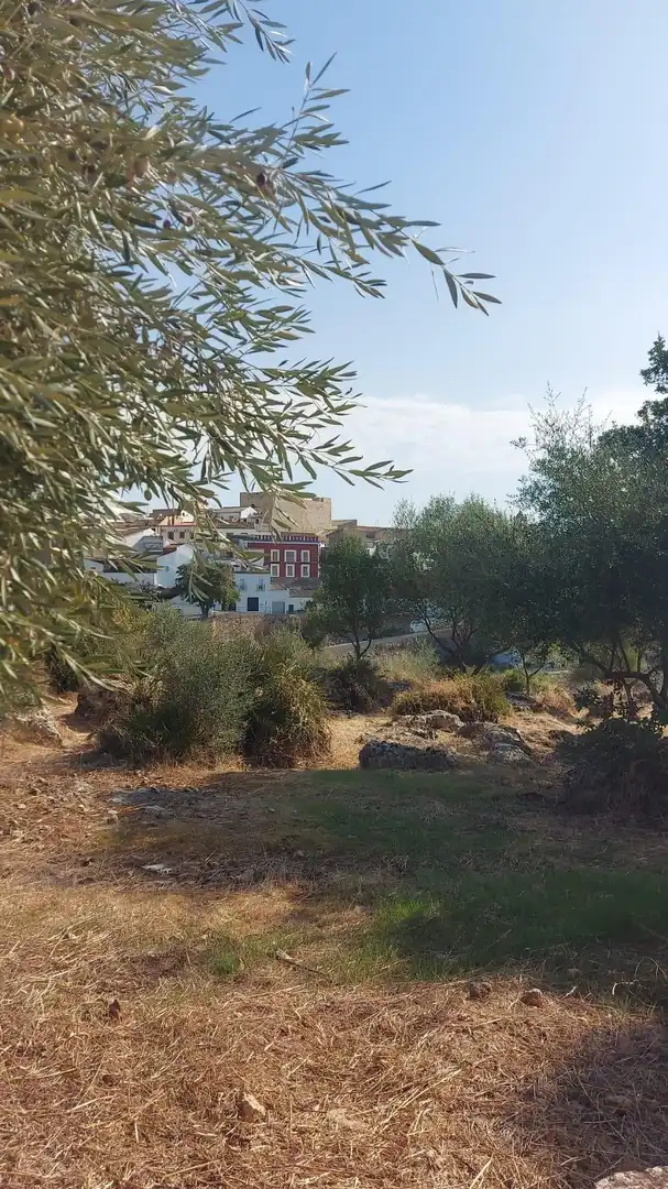 Vista exterior de Casa o xalet en venda en Hornachuelos