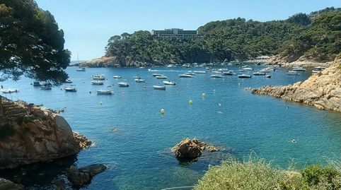Foto 2 de Terreno en venta en Fornells - Aiguablava, Begur