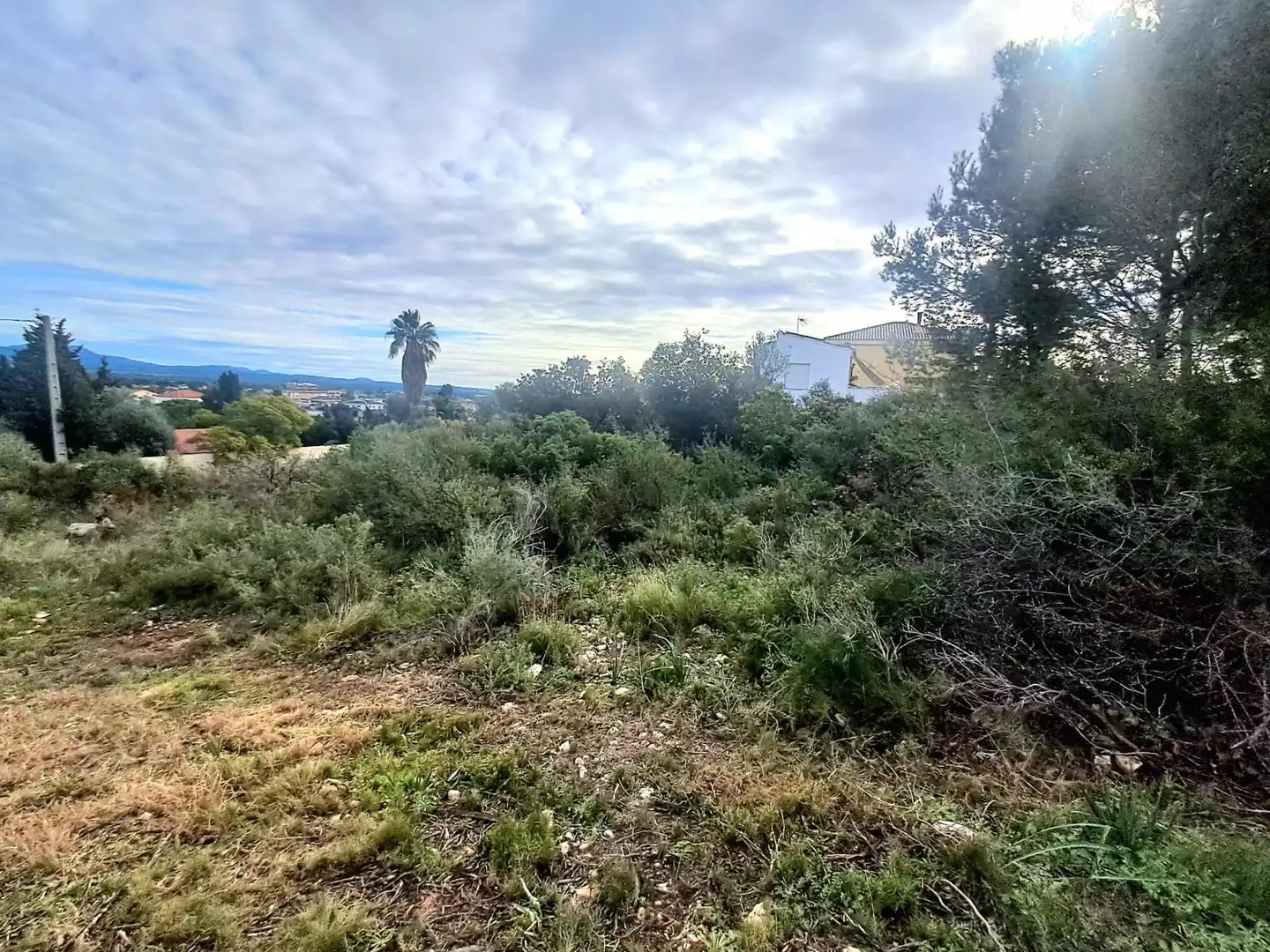 Terrenos y solares en venta en Calle El Pedregal, imagen 12