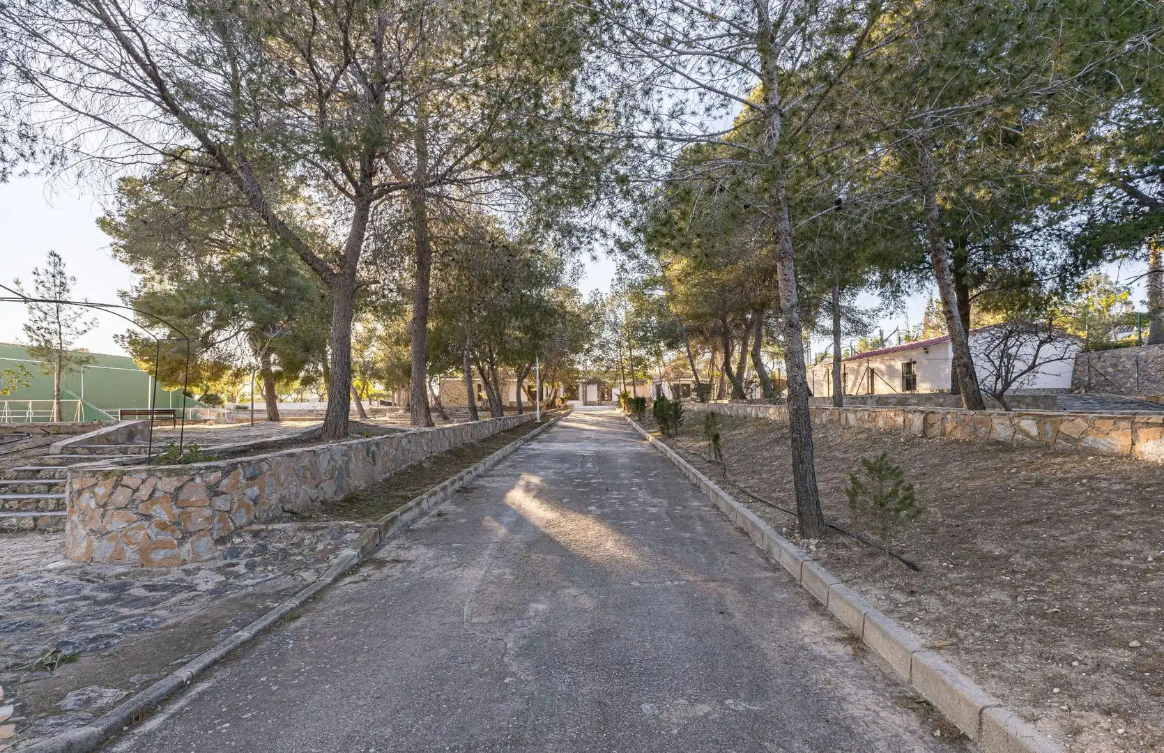 Vista exterior de Casa o chalet en venta en Fortuna con Jardín privado, Terraza y Balcón