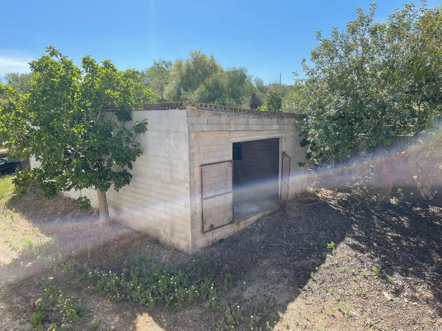 Finca rústica en venta en Ariany con Jardín privado