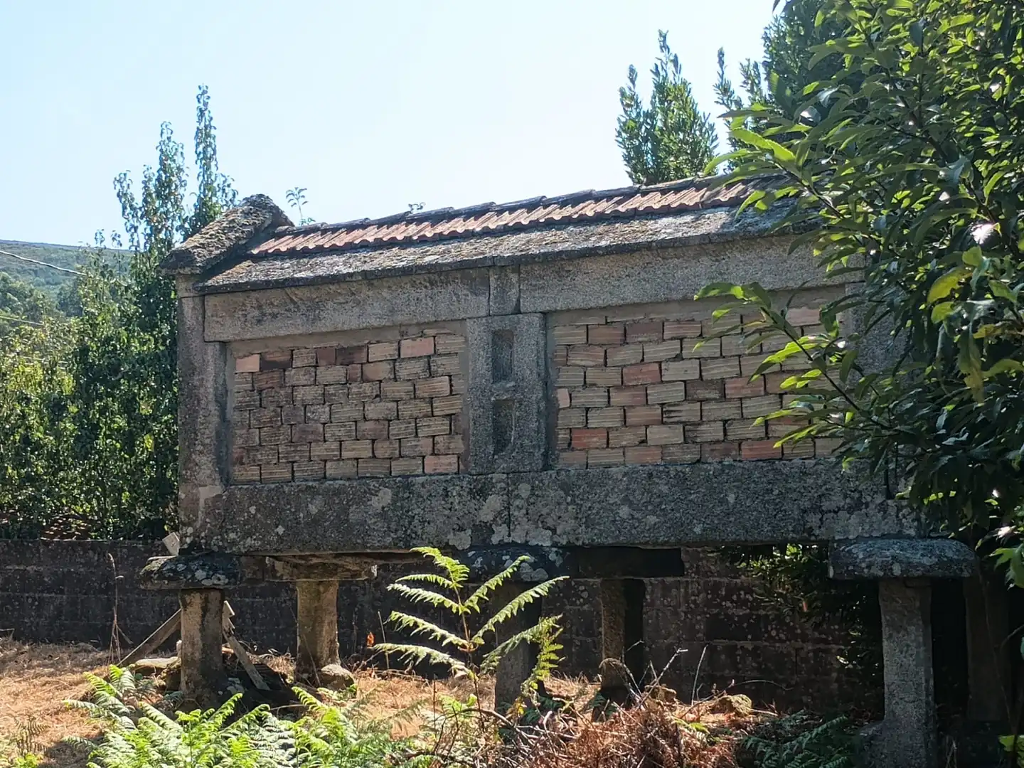 Vista exterior de Casa o chalet en venta en Fornelos de Montes con Jardín privado