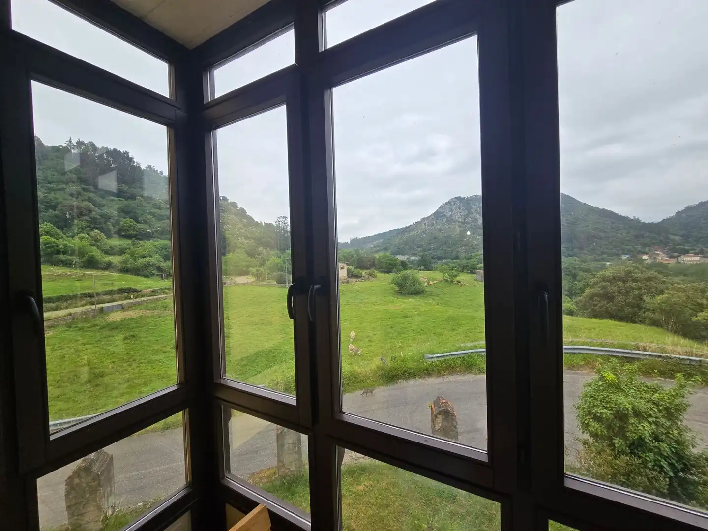 Jardín de Casa o chalet en venta en Peñamellera Baja con Calefacción, Jardín privado y Trastero