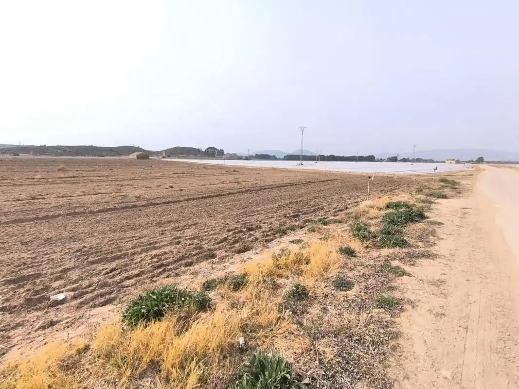 Residential land for sale in El Rabal, imagen 11