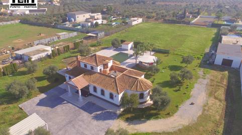 Photo 4 of Country house for sale in Torre Cruz - Los Molinos, Sevilla